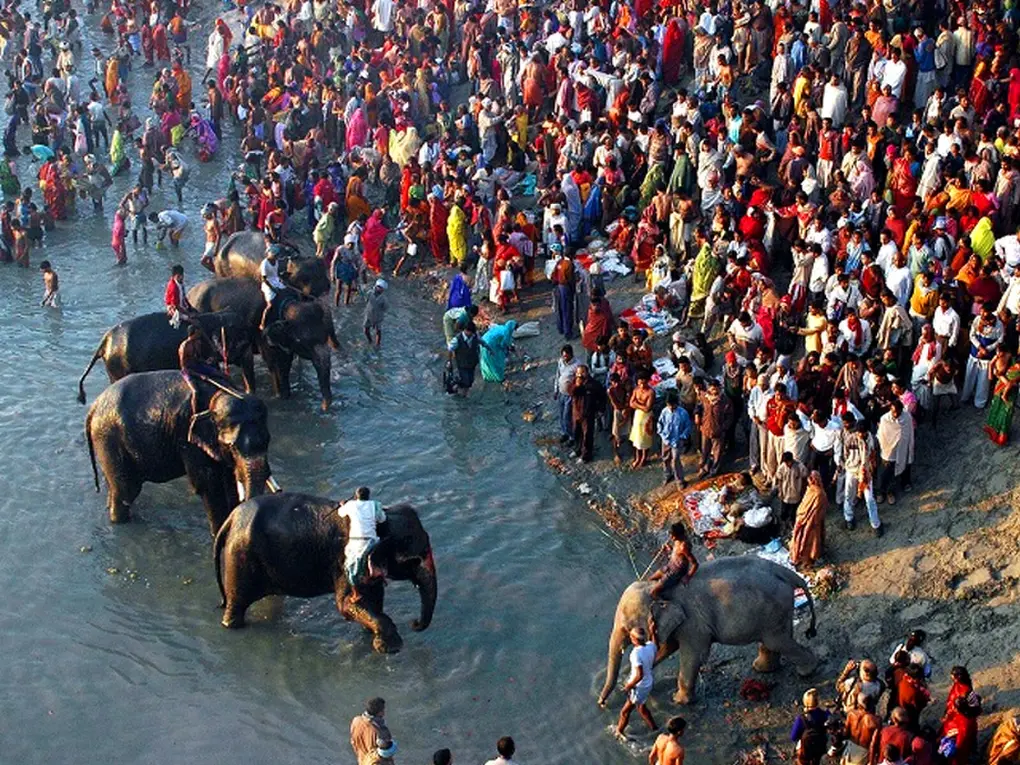 Sonepur cattle fair